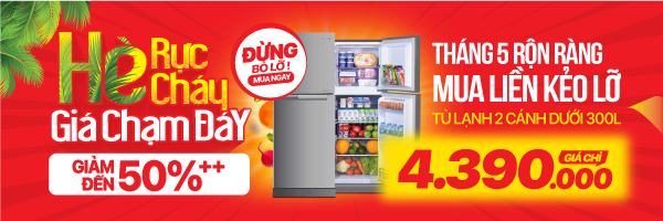 2 cửa dưới 300l