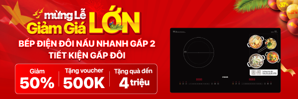 21-Bếp từ -hồng ngoại Sale