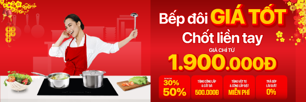 21-Bếp từ -hồng ngoại Sale