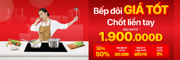 21-Bếp từ -hồng ngoại Sale