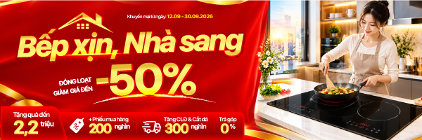 21-Bếp từ -hồng ngoại Sale