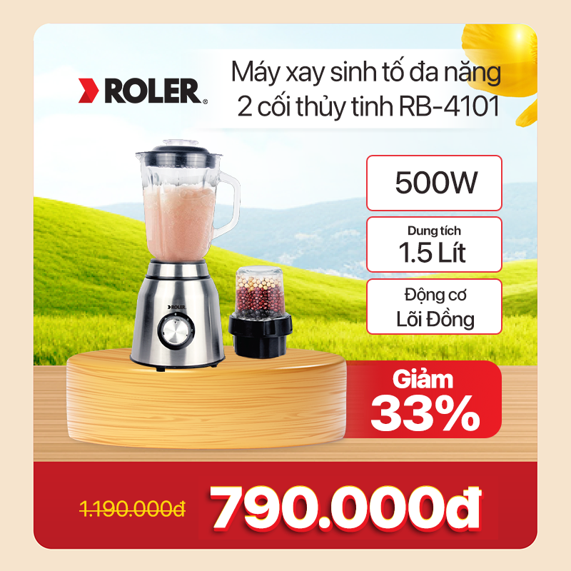 27-Máy xay sinh tố đa năng Roler RB-4101
