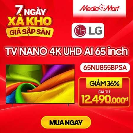 65nu855bpsa