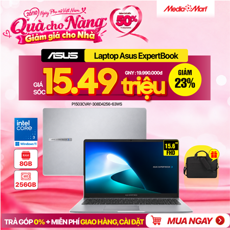 Asus ExpertBook P1503CVAY-308D4256-63WS