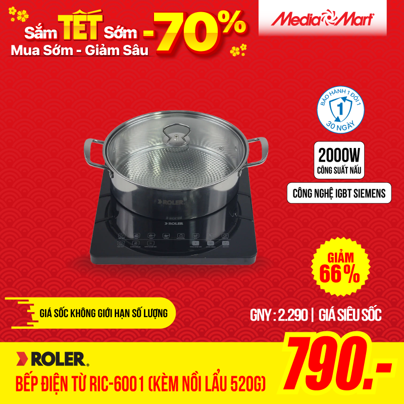 Bếp điện từ Roler RIC-6001