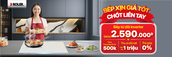 Bếp từ Roler Sale