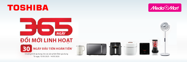 Cate -GD -Toshiba