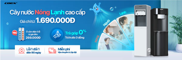 cate cây nước nóng lạnh Coex