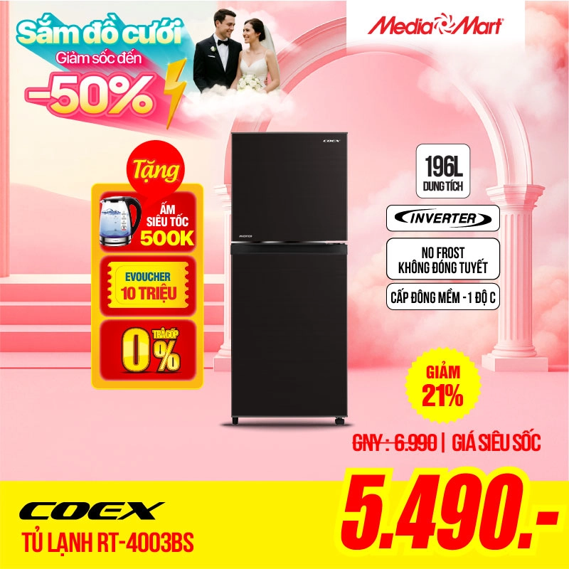 Coex Inverter 196 Lít RT-4003BS