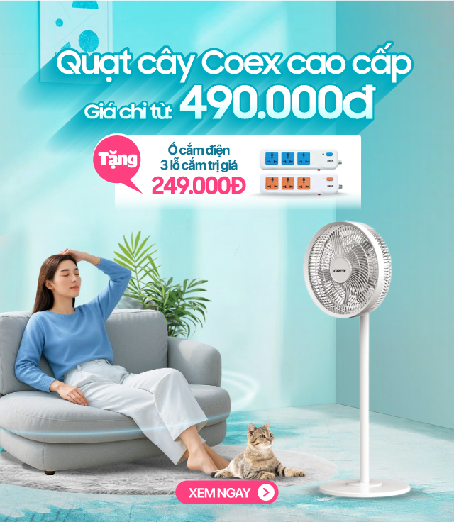 Coex-Quạt cây