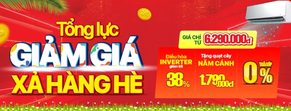 đh