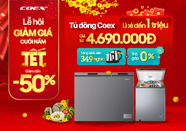 Lễ hội giảm giá cuối năm Tủ đông Sale 50%