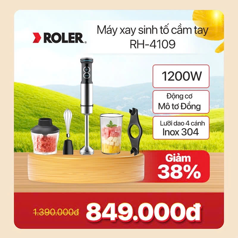 Máy xay sinh tố cầm tay Roler RH-4109
