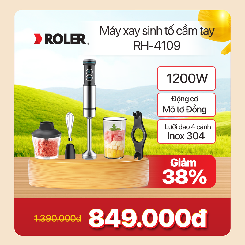 Máy xay sinh tố cầm tay Roler RH-4109