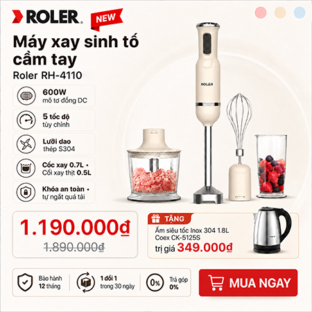 Máy xay sinh tố cầm tay Roler RH-4110