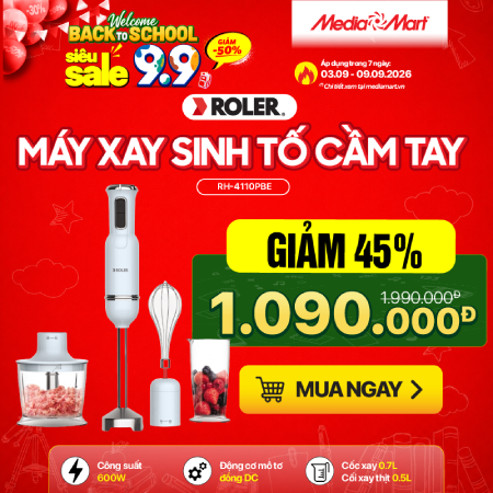 Máy xay sinh tố cầm tay Roler RH-4110PBE