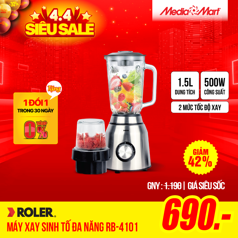 Máy xay sinh tố đa năng Roler RB-4101
