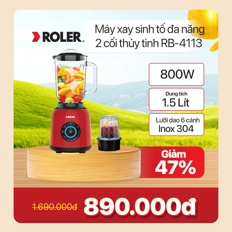 Máy xay sinh tố đa năng Roler RB-4113