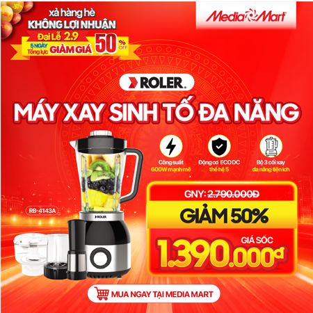 Máy xay sinh tố đa năng Roler RB-4143A