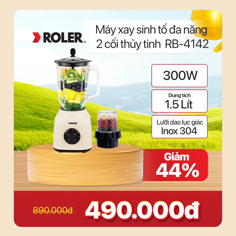 Máy xay sinh tố Roler RB-4142