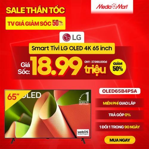 oled65b4psa