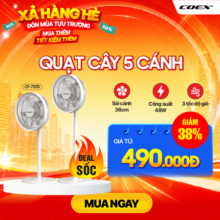 quạt cây Coex Sale