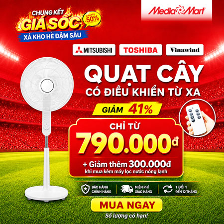quạt cây CTKM T7