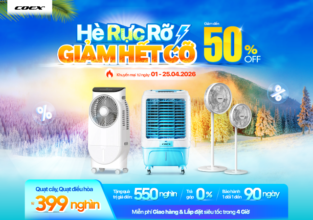 Quạt Coex Sale hè