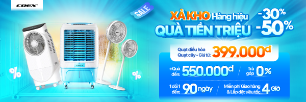 Quạt Coex Sale hè