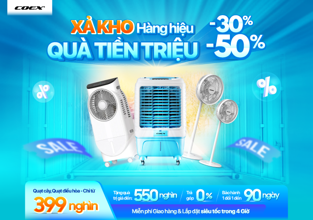 Quạt Coex Sale hè