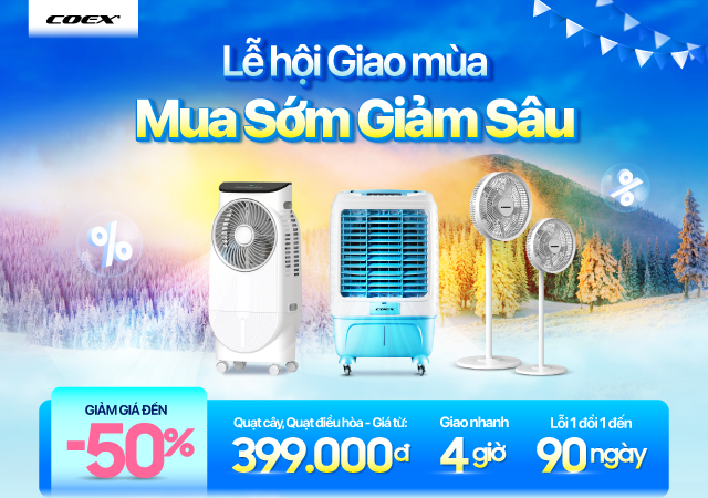 Quạt Coex Sale hè