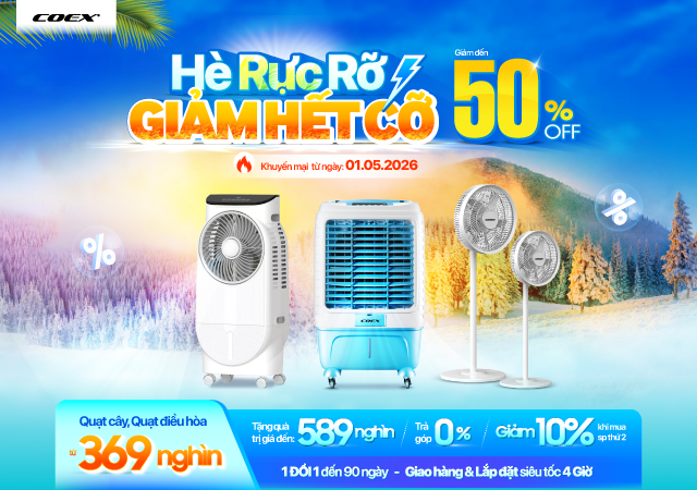Quạt Coex Sale hè