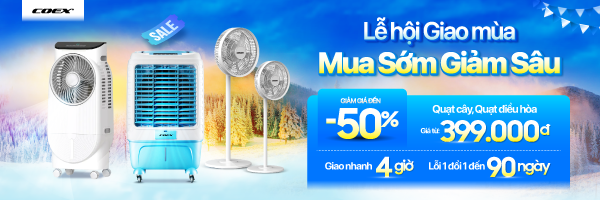 Quạt Coex Sale hè