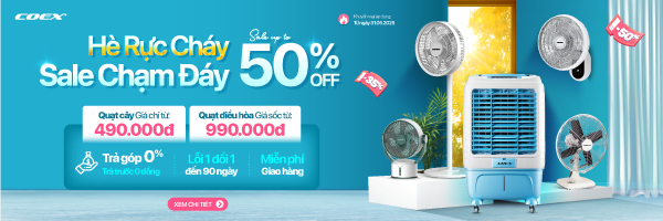 Quạt Coex Sale
