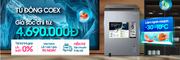 Tủ đông Coex Sale