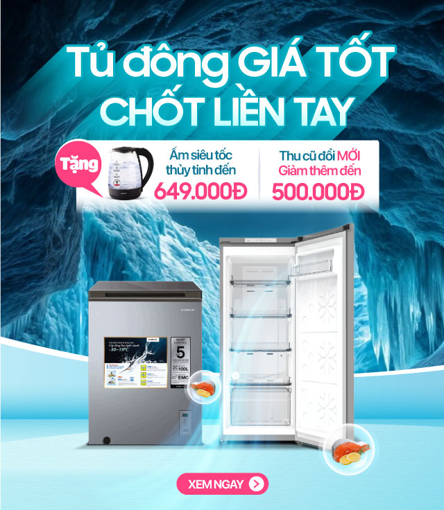 Tủ đông Coex