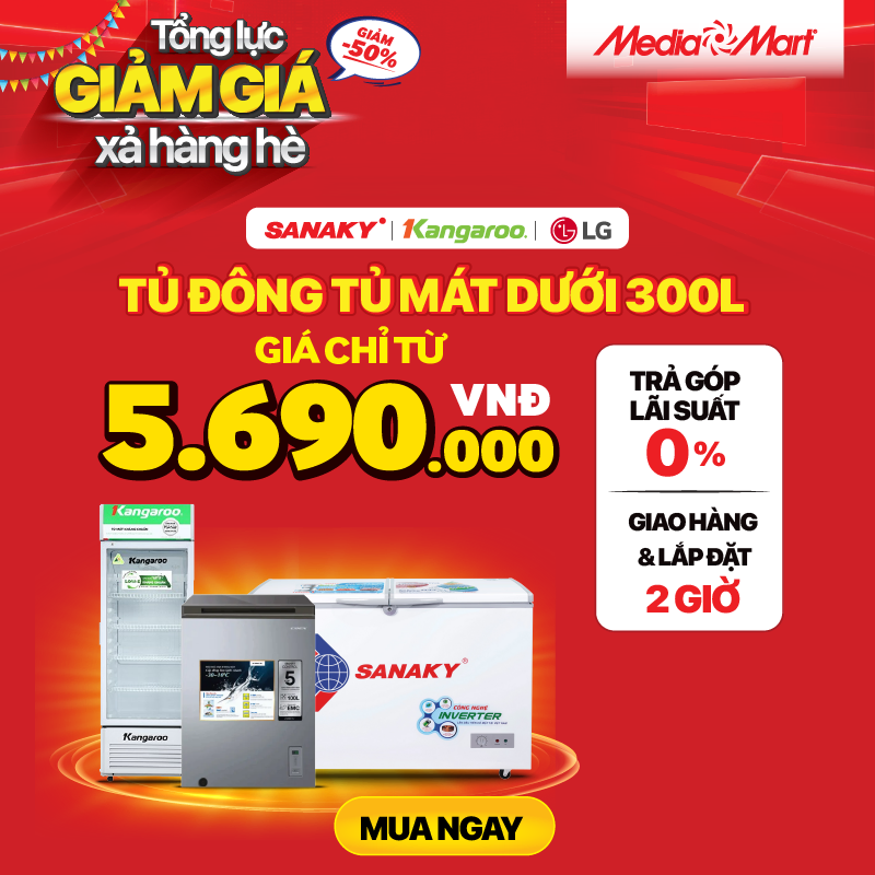 Tủ đông tủ mát &lt;300L (CTKM T9)