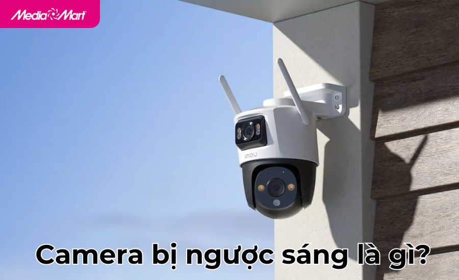 Camera bị ngược sáng là gì? Nguyên nhân và cách sửa