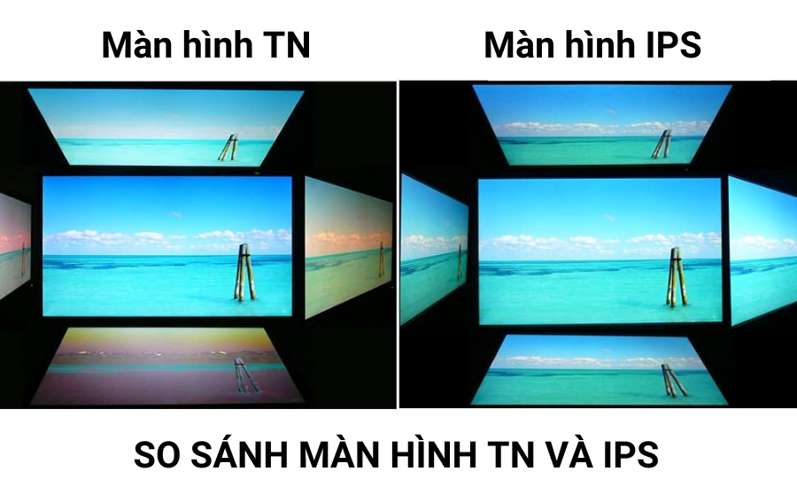 Màn hình TN, IPS là gì? So sánh màn hình TN và IPS