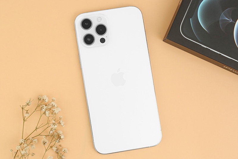 APPLE iPhone 12 Pro Max 256G Silver (2020)