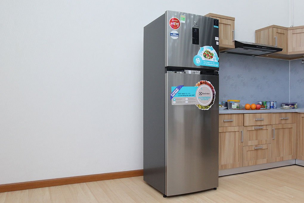 Tủ lạnh Electrolux ETE3500AG-RVN - 350 Lít