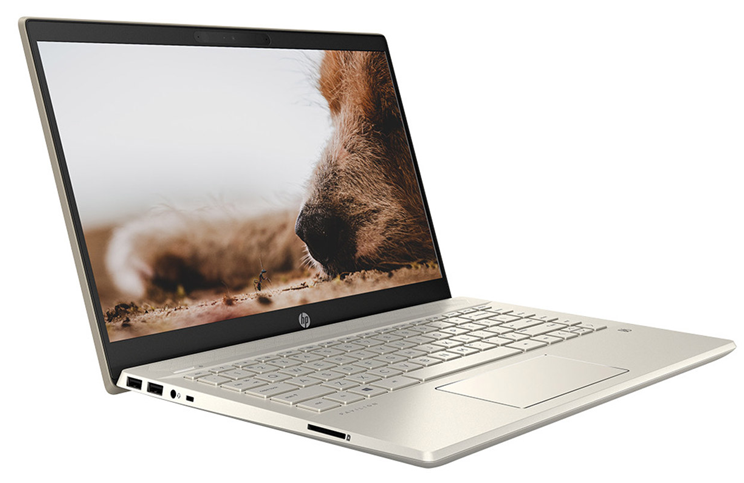 Laptop HP Pavilion 14-dv0534TU 4P5G3PA Vàng