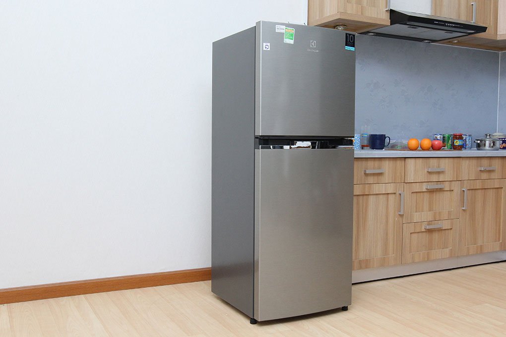 Tủ lạnh Electrolux ETB2100MG-XVN - 210 Lít Inverter