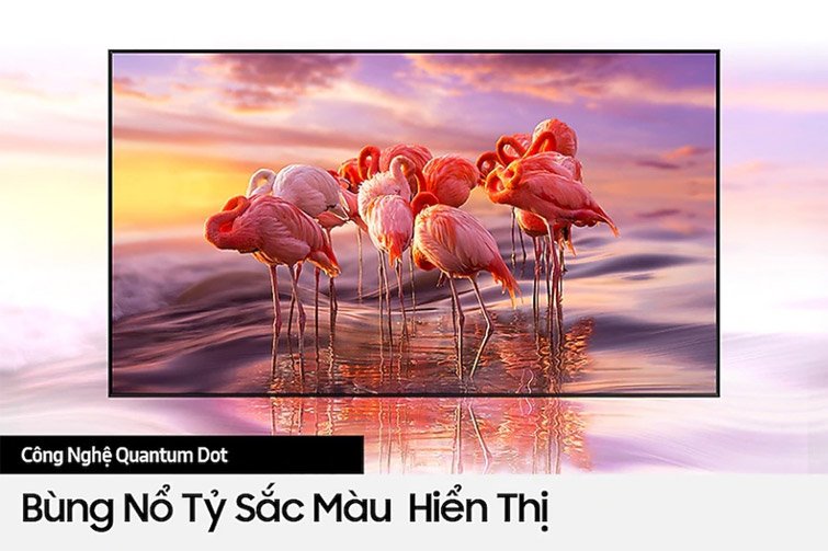 QLED Tivi 4K Samsung 50Q65T 50 inch Smart TV