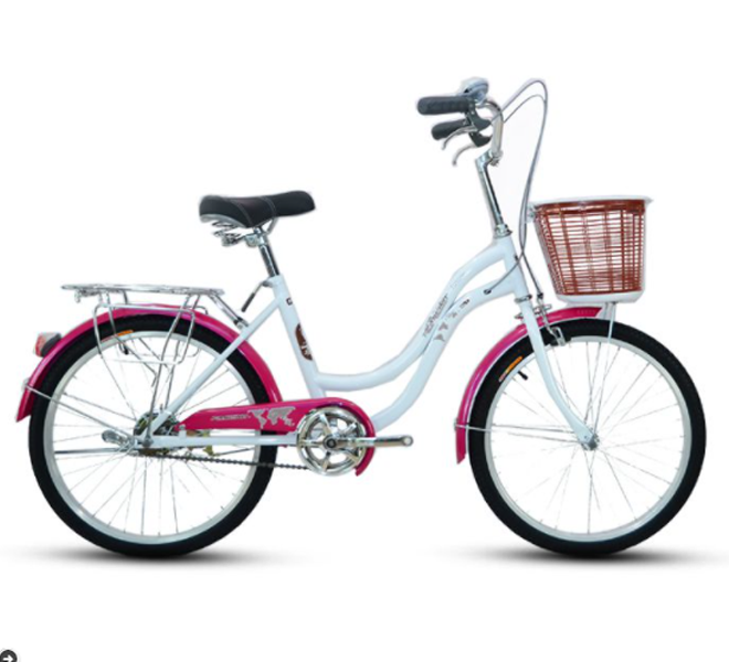 Xe đạp Mini FASCINO FM-20 (Đỏ)