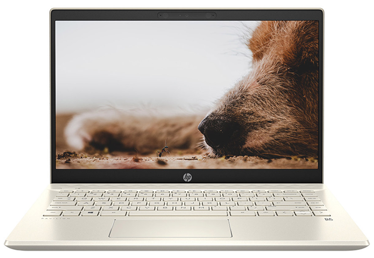 Laptop HP Pavilion 14-dv0534TU 4P5G3PA Vàng