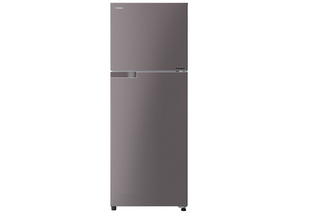 Tủ lạnh Toshiba T36VUBZ(DS) - 305 Lít