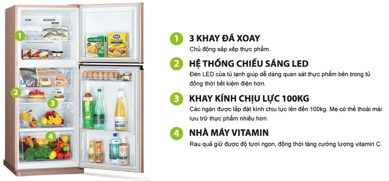 Tủ lạnh Mitsubishi Electric MR-FV32EJ-SL-V - 274 Lít