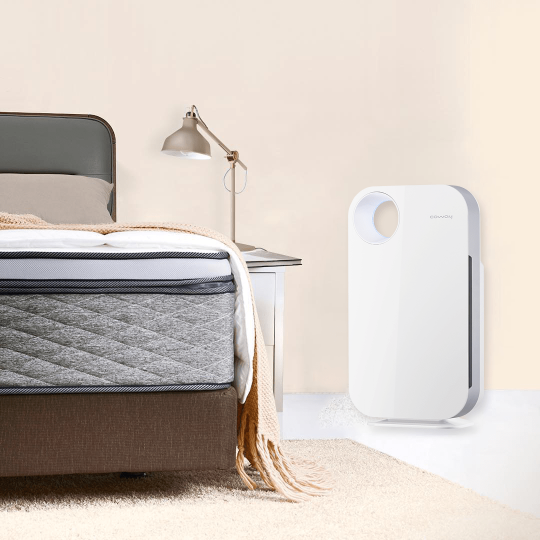 Máy lọc không khí Coway AP-1008CH