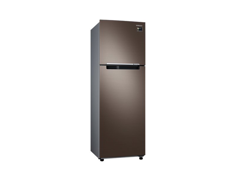 Tủ lạnh Samsung RT25M4032DX/SV - 256 Lít, Inverter